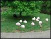 Waco Zoo 2001
