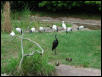 Waco Zoo 2001