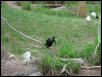 Waco Zoo 2001