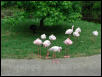 Waco Zoo 2001