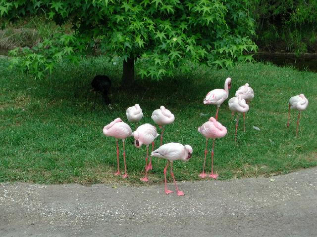 Waco Zoo 2001