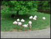 Waco Zoo 2001