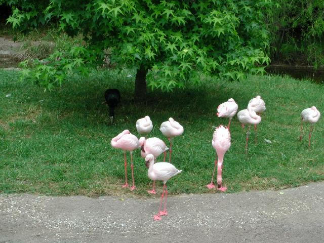 Waco Zoo 2001