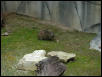 Waco Zoo 2001
