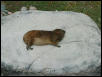 Waco Zoo 2001