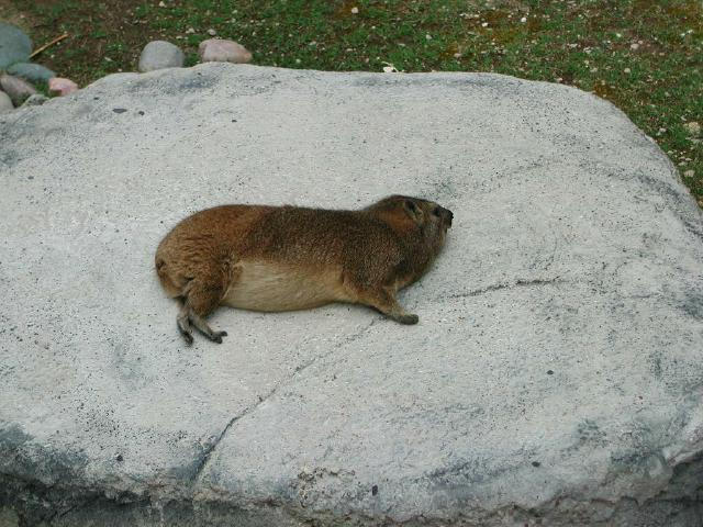 Waco Zoo 2001