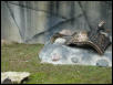 Waco Zoo 2001