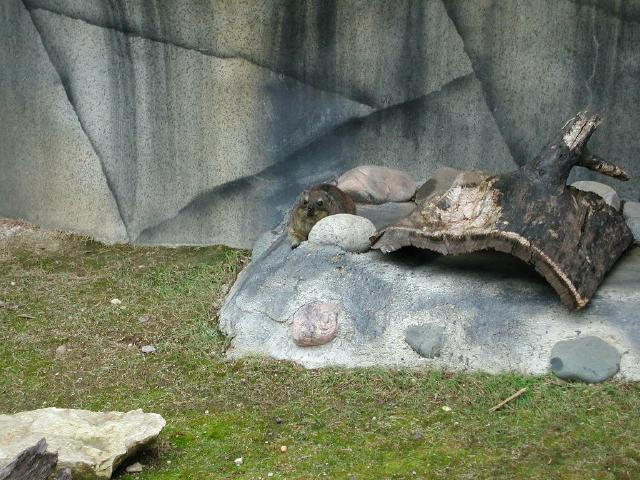 Waco Zoo 2001