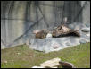 Waco Zoo 2001