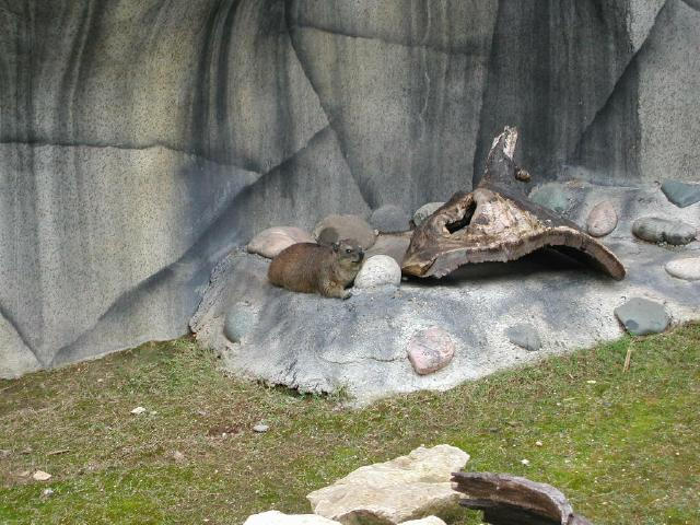 Waco Zoo 2001