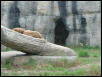 Waco Zoo 2001