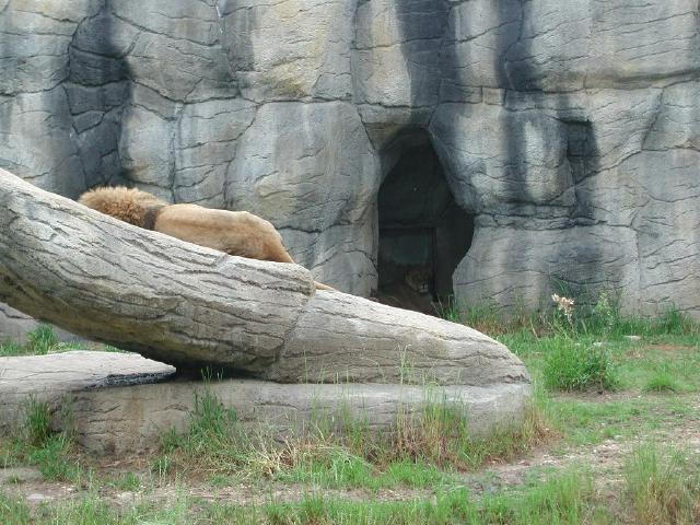 Waco Zoo 2001