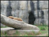 Waco Zoo 2001