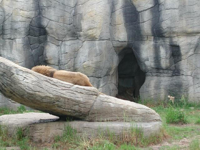 Waco Zoo 2001