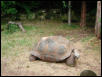 Waco Zoo 2001