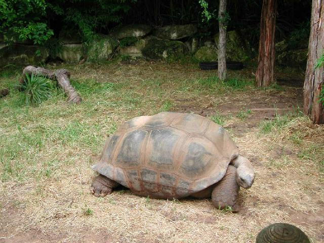 Waco Zoo 2001
