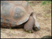 Waco Zoo 2001