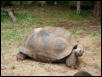 Waco Zoo 2001