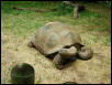 Waco Zoo 2001