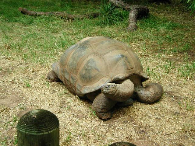 Waco Zoo 2001