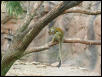 Waco Zoo 2001