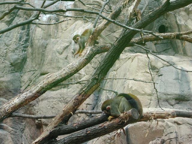 Waco Zoo 2001