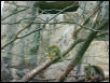 Waco Zoo 2001