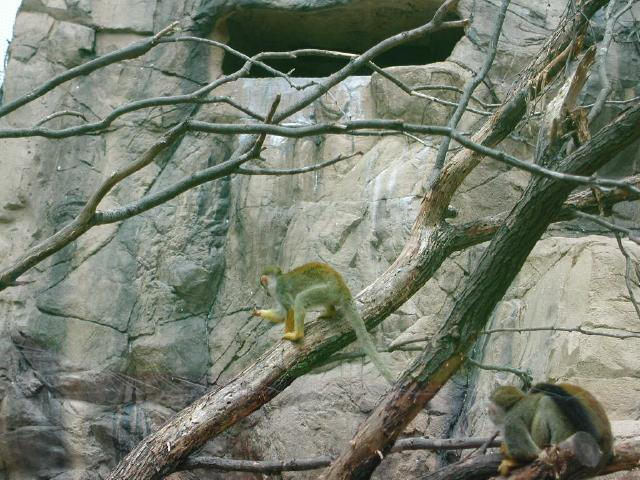 Waco Zoo 2001