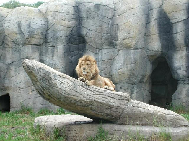Waco Zoo 2001