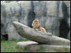 Waco Zoo 2001