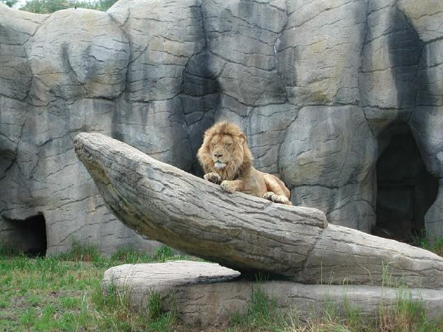 Waco Zoo 2001
