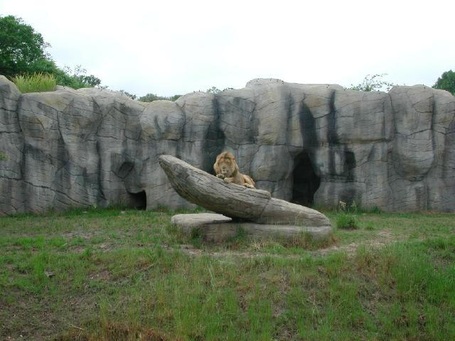 Waco Zoo 2001