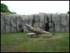 Waco Zoo 2001