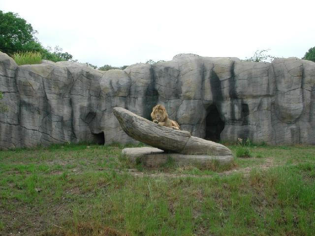 Waco Zoo 2001