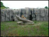 Waco Zoo 2001