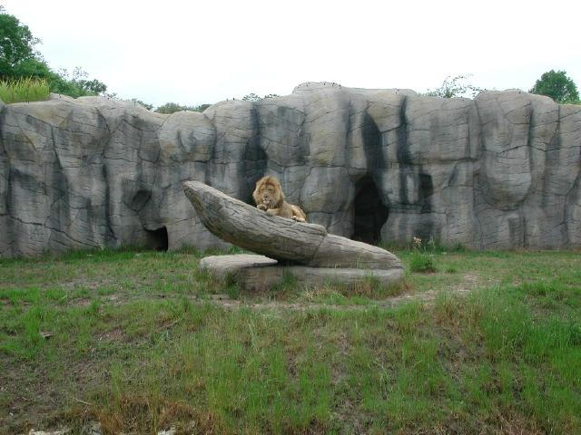 Waco Zoo 2001