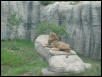 Waco Zoo 2001