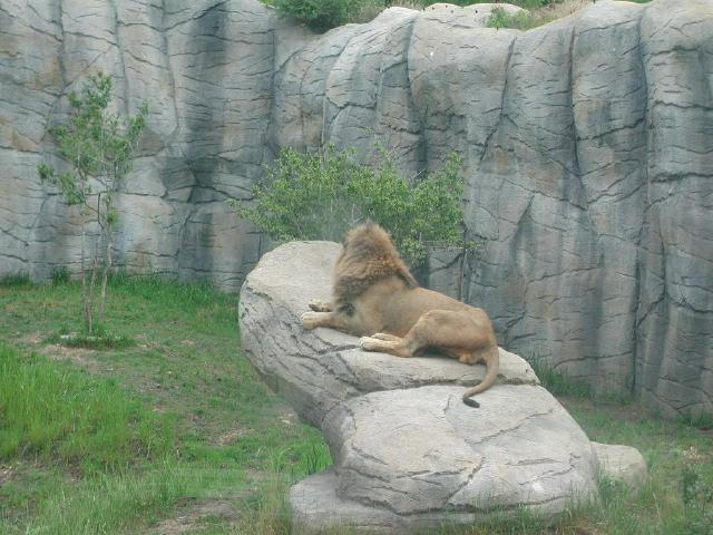 Waco Zoo 2001