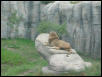 Waco Zoo 2001