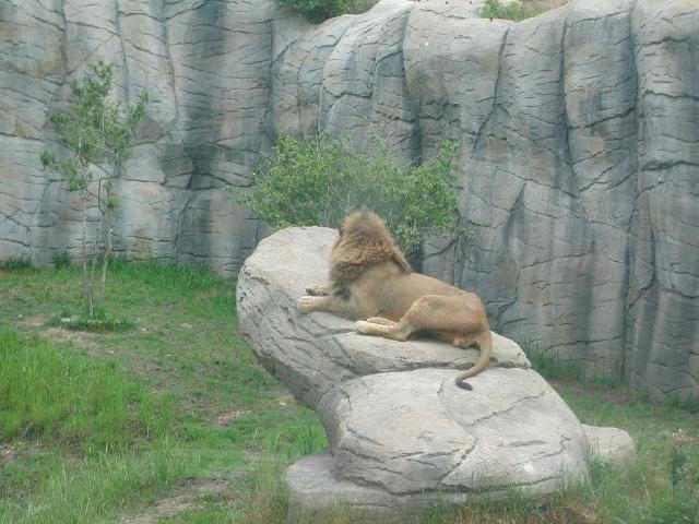 Waco Zoo 2001