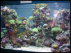 Moody Gardens 2001