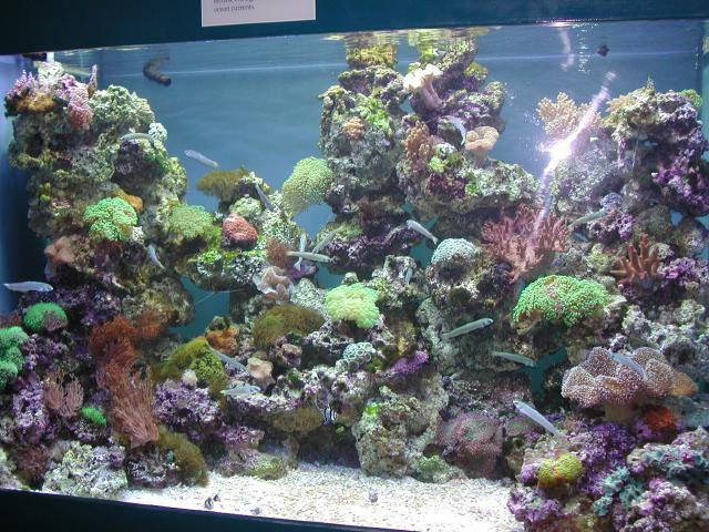 Moody Gardens 2001