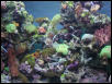 Moody Gardens 2001