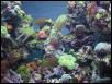 Moody Gardens 2001