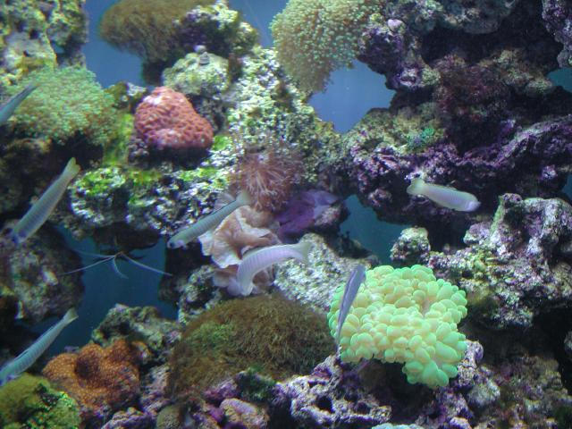 Moody Gardens 2001