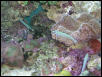 Moody Gardens 2001