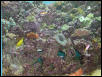 Moody Gardens 2001