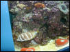 Moody Gardens 2001