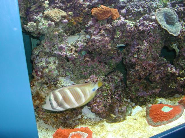 Moody Gardens 2001