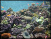 Moody Gardens 2001